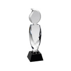 Fashionable Crystal Trophy